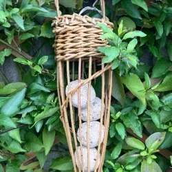 Workshop: Willow Sunflower and Bird Feeder