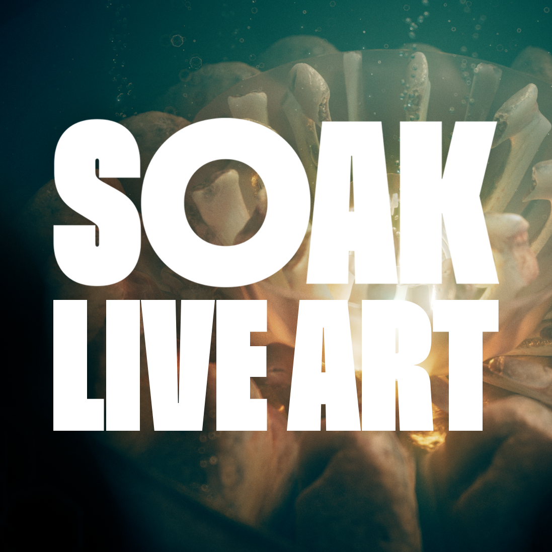 SOAK Live Art workshop in creative collaboration