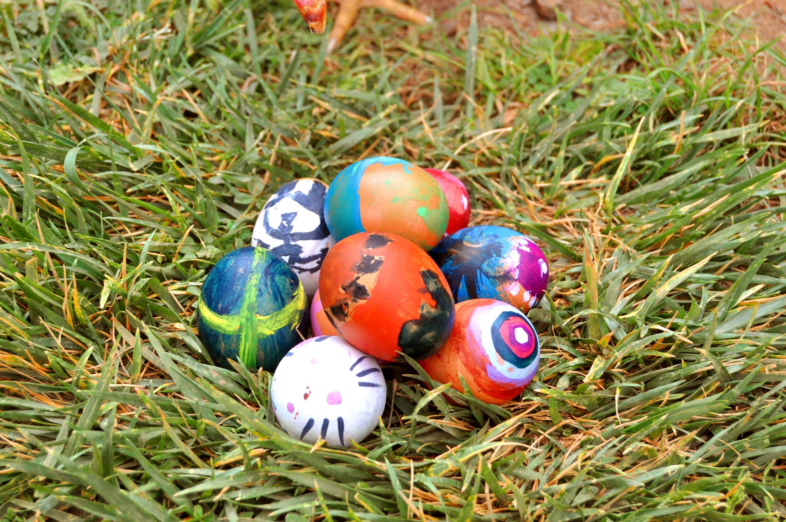 Creative Easter adventures for families in Plymouth in 2026