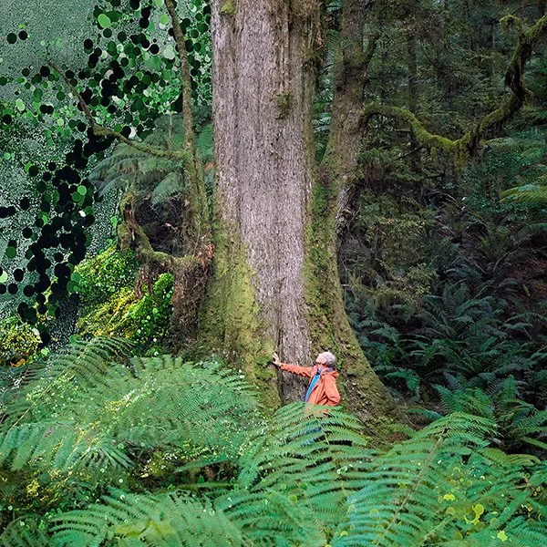 The Giants (12A) + short films – Plymouth Urban Tree Festival
