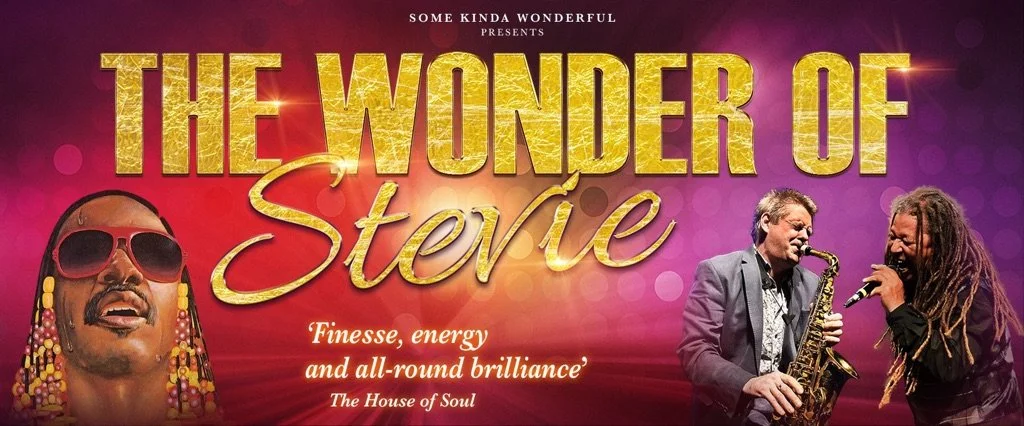 The Wonder of Stevie
