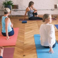 Hatha yoga for beginners & intermediate with Tamar Yoga