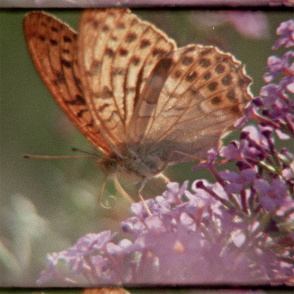 Super Nature (PG)