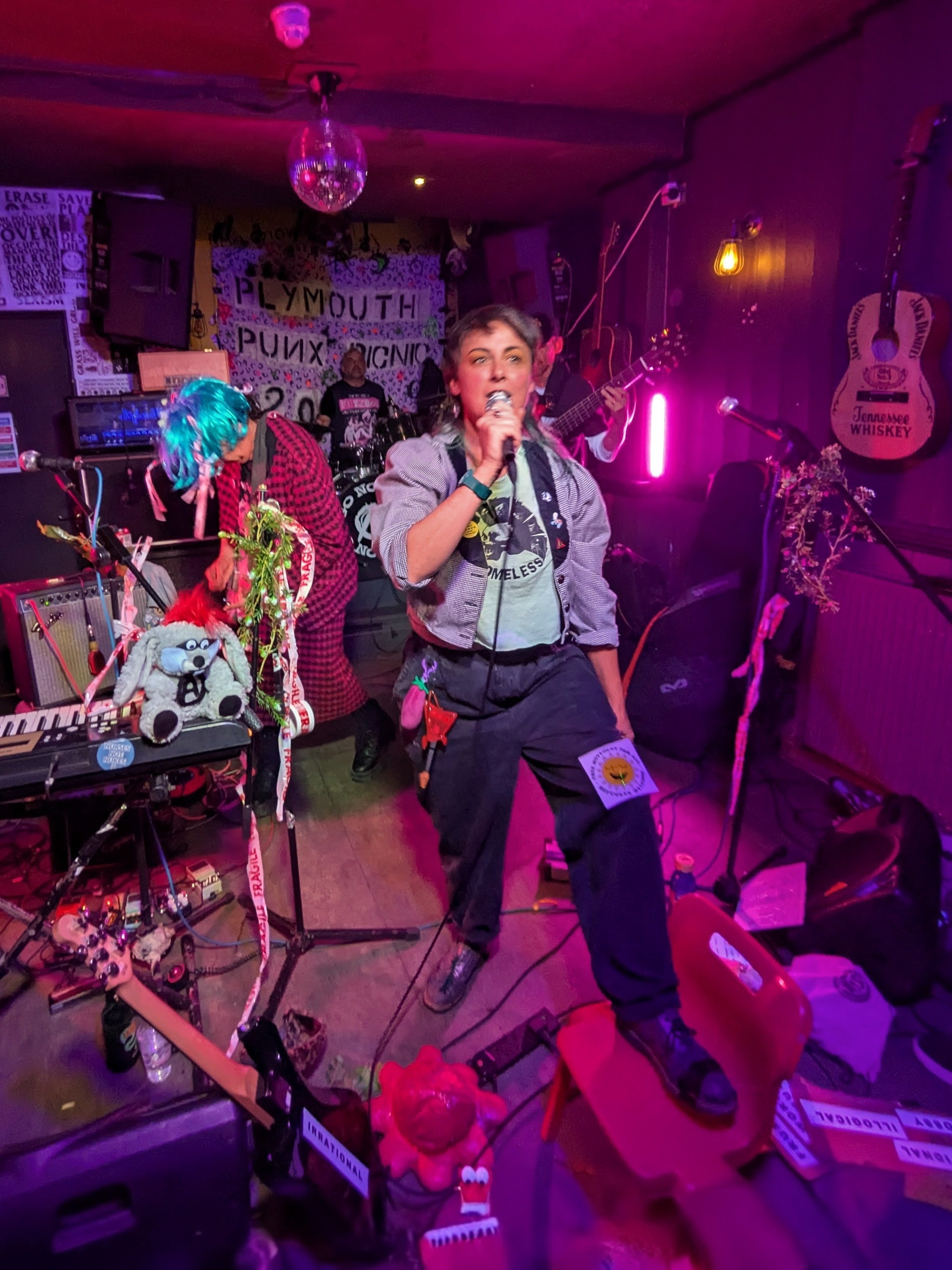 Plymouth Punx Picnic 2025 Review: Punk, Community & Live Music