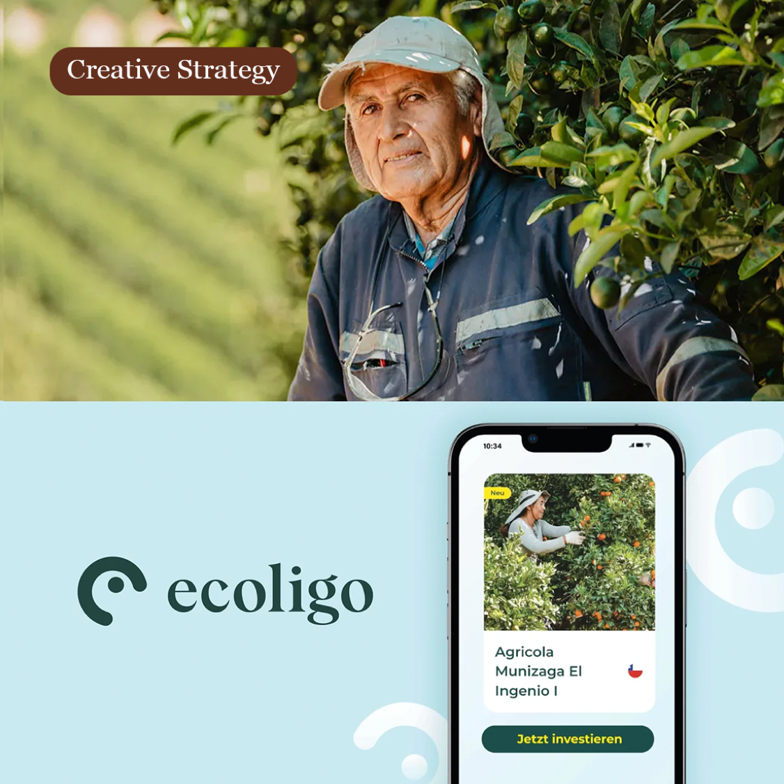 ecoligo: la stratégie créative