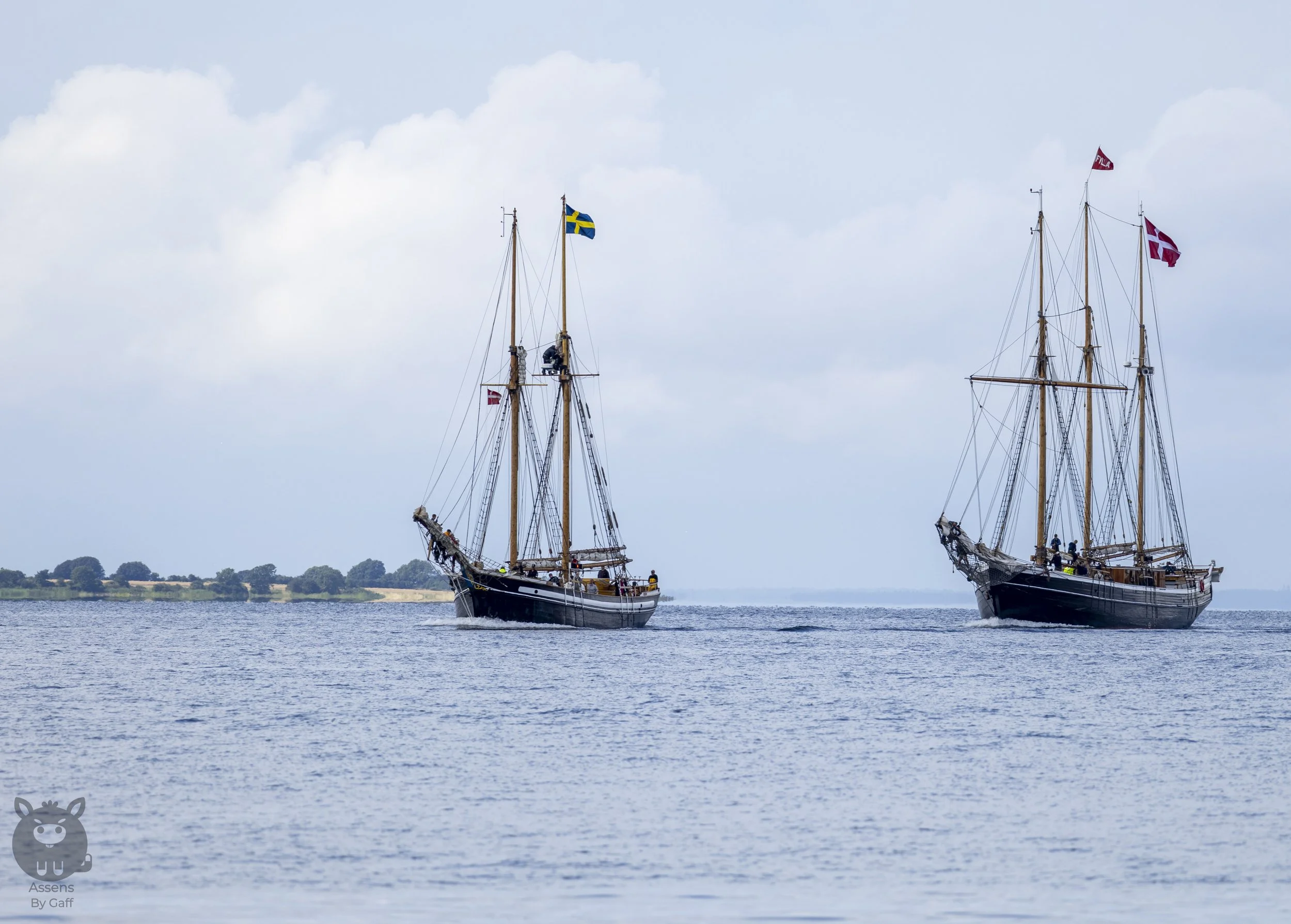 Assens For fulde segl-8.jpg