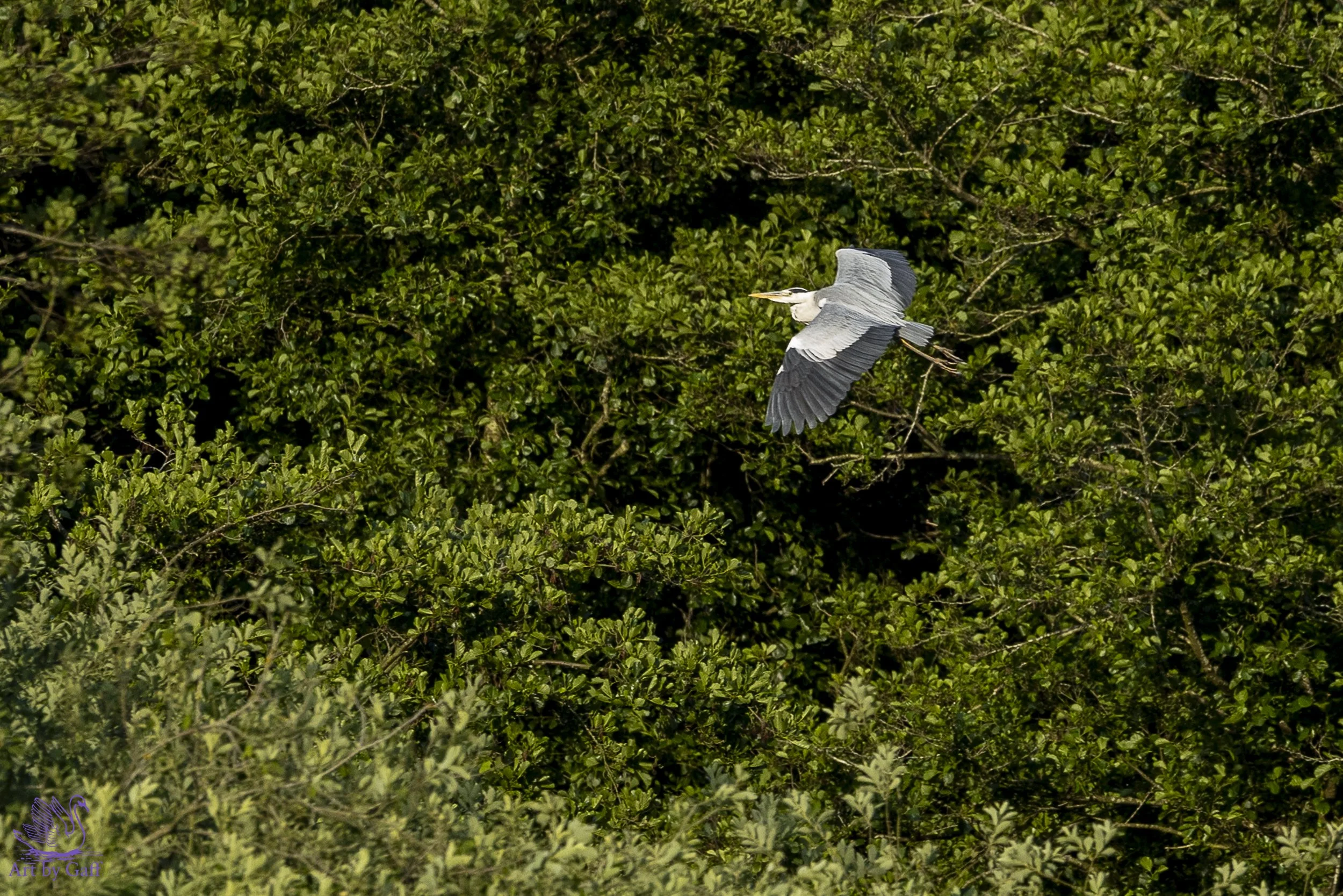 Portfolio test (7 of 20).jpg