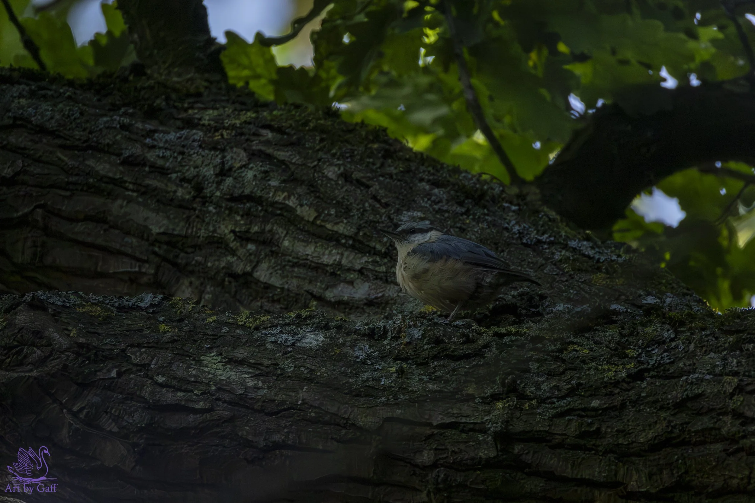 Portfolio test (6 of 20).jpg