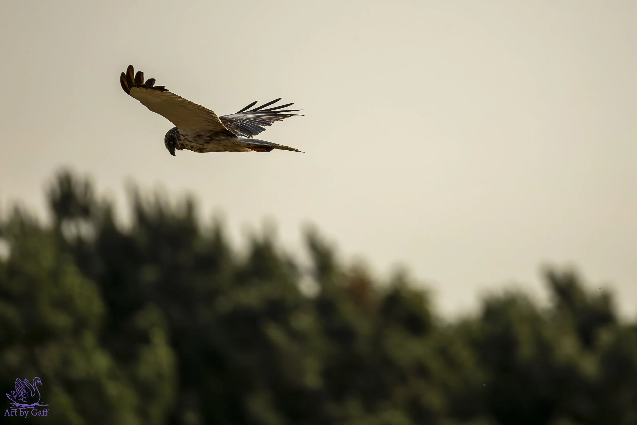 Portfolio test (15 of 20).jpg