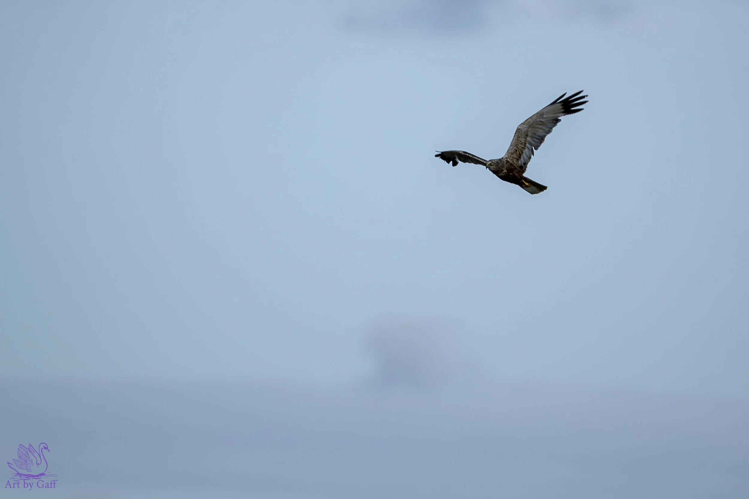Portfolio test (10 of 20).jpg