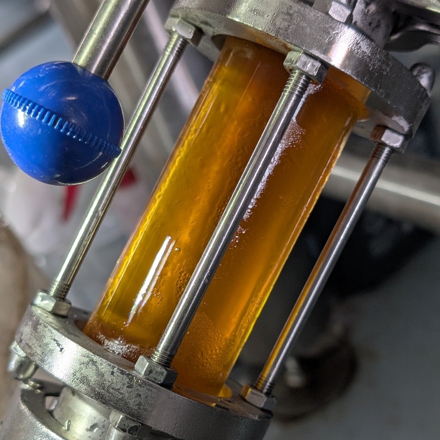 Packaged something a little different today. Polotmave Pivo, a Czech Style Amber Lager. Wholesome, like Brown Bread. 

#wilfulbeer#wilfulbeer #thecockleshellmicropubsaltash #tqbeerworks #tqbeerworkstaphouse #devoncraftbeer #supportlocal #Plymouth #de