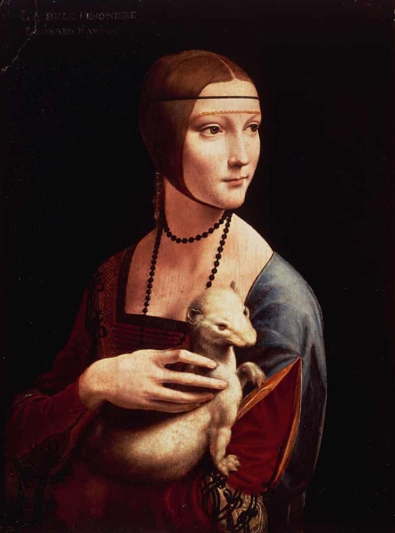 What can we learn from Leonardo Da Vinci's notebooks?