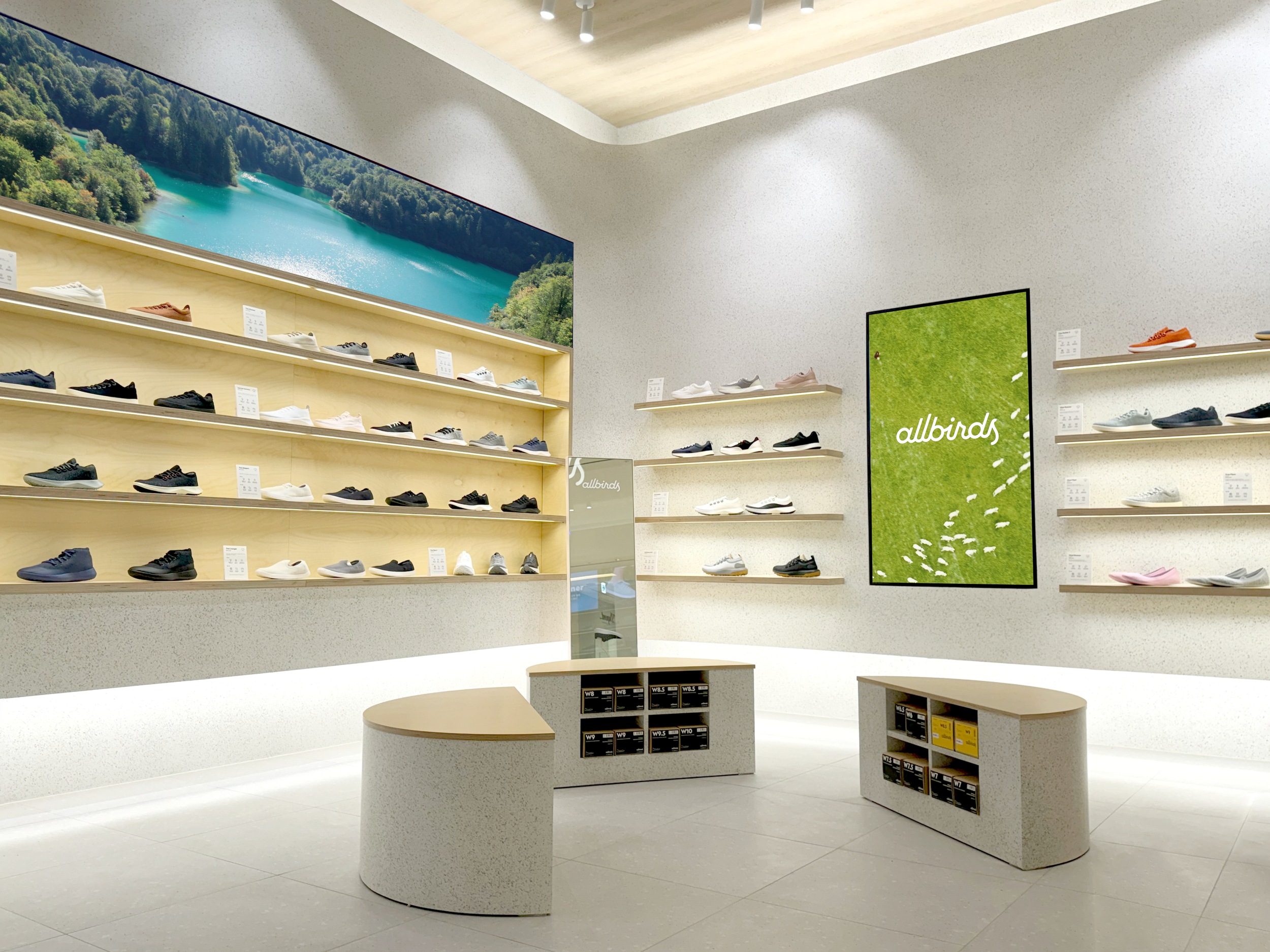 ALLBIRDS STARFIELD SUWON