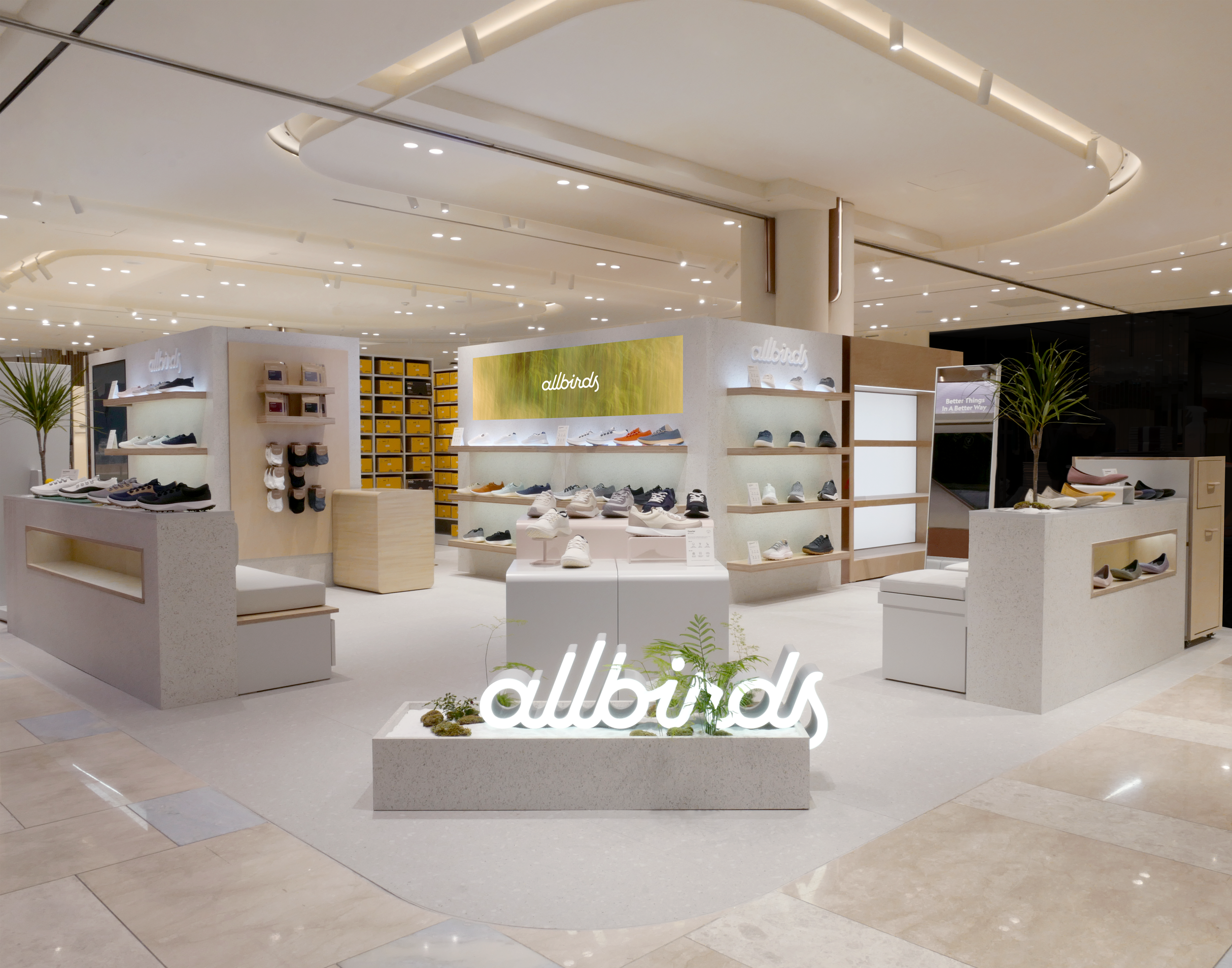 ALLBIRDS SHINSEGAE GANGNAM