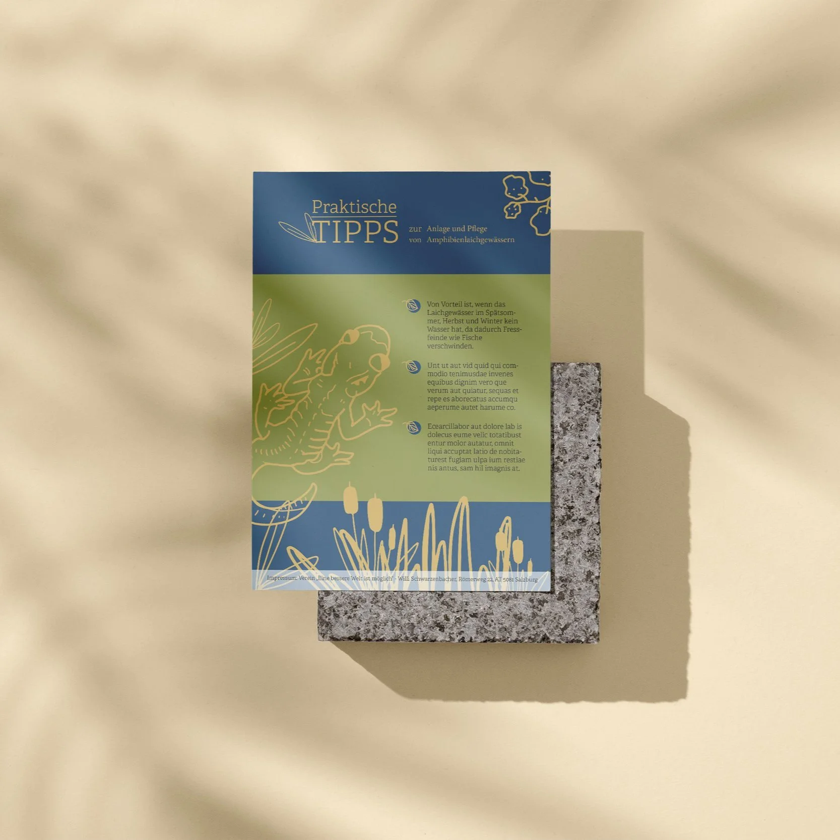 Informationsblatt mit Tipps zur Pflege von Amphibien, auf einem Stein liegend, vor einem hellen Hintergrund, mit Schatten.