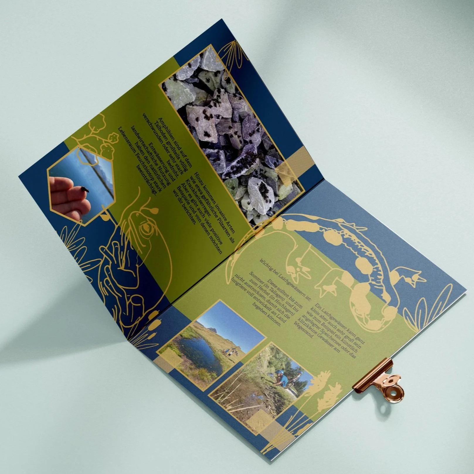 Aufklappbares Naturinfo-Flyer mit Fotos von Gesteinen, einem See und einem Spaziergänger, gestaltet mit blauen und grünen Farben, inklusive goldenen Illustrationen und einem roten und goldenen Clip.