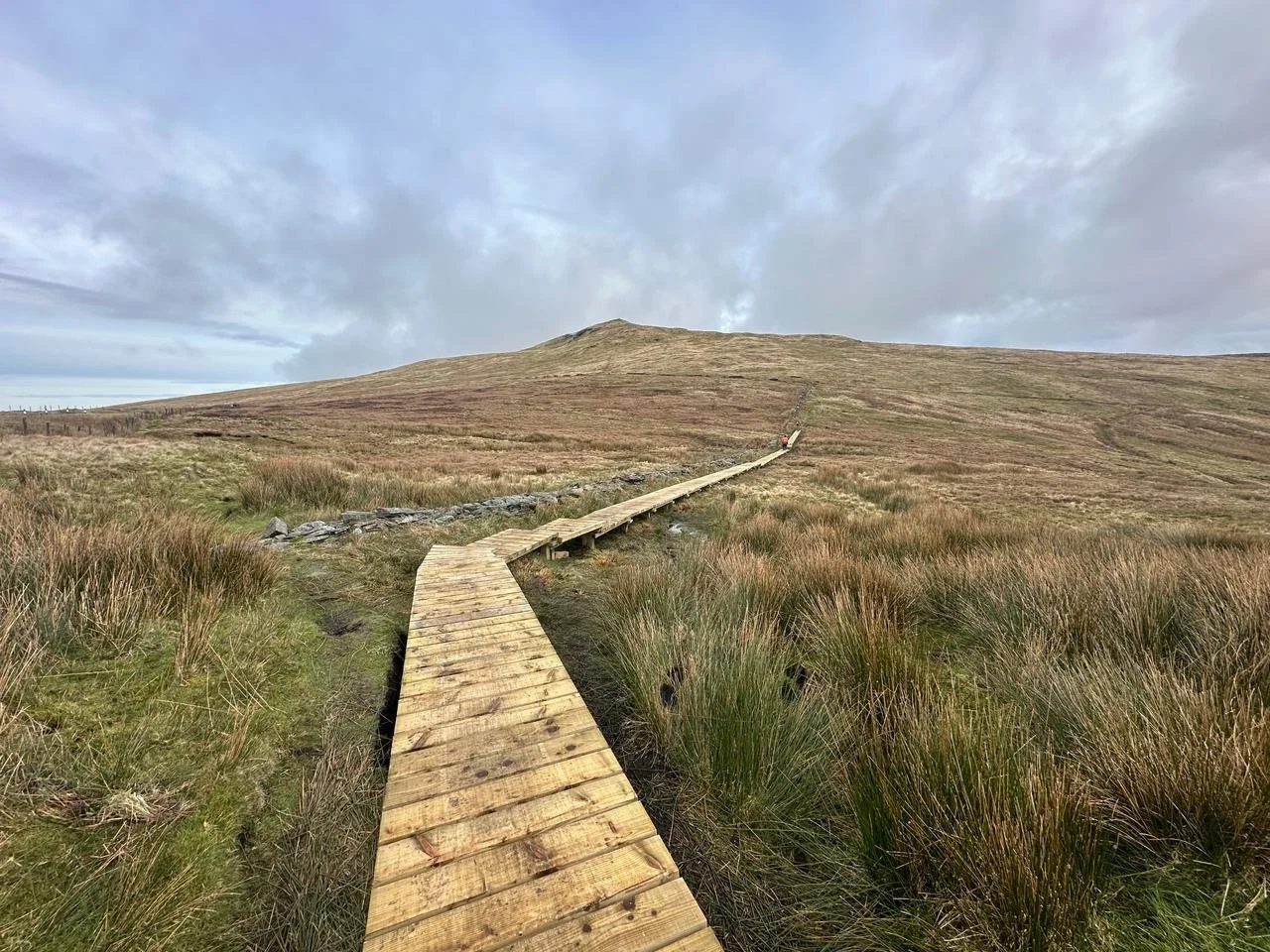 Boardwalk near black hut.jpg