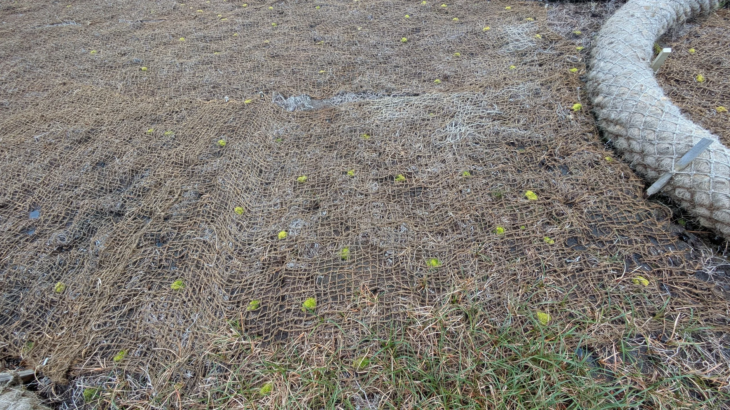 1000015900.jpg