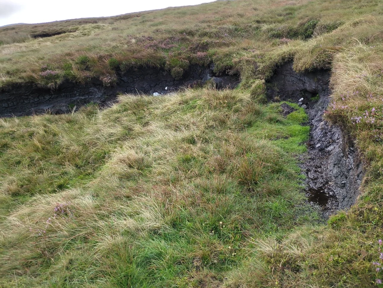 Eroding peat hag