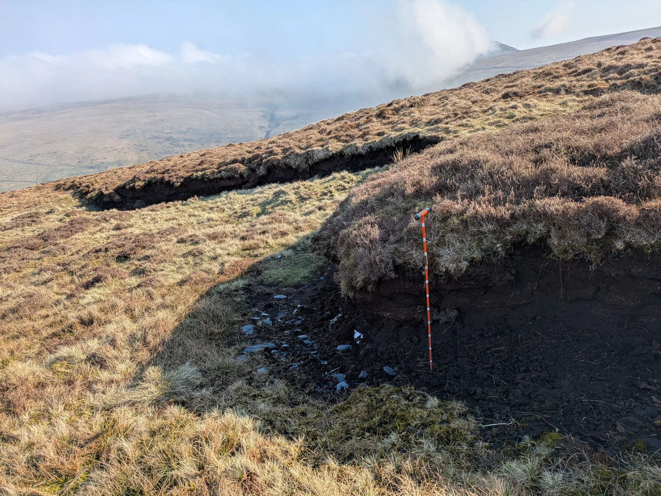 Eroding peat hag