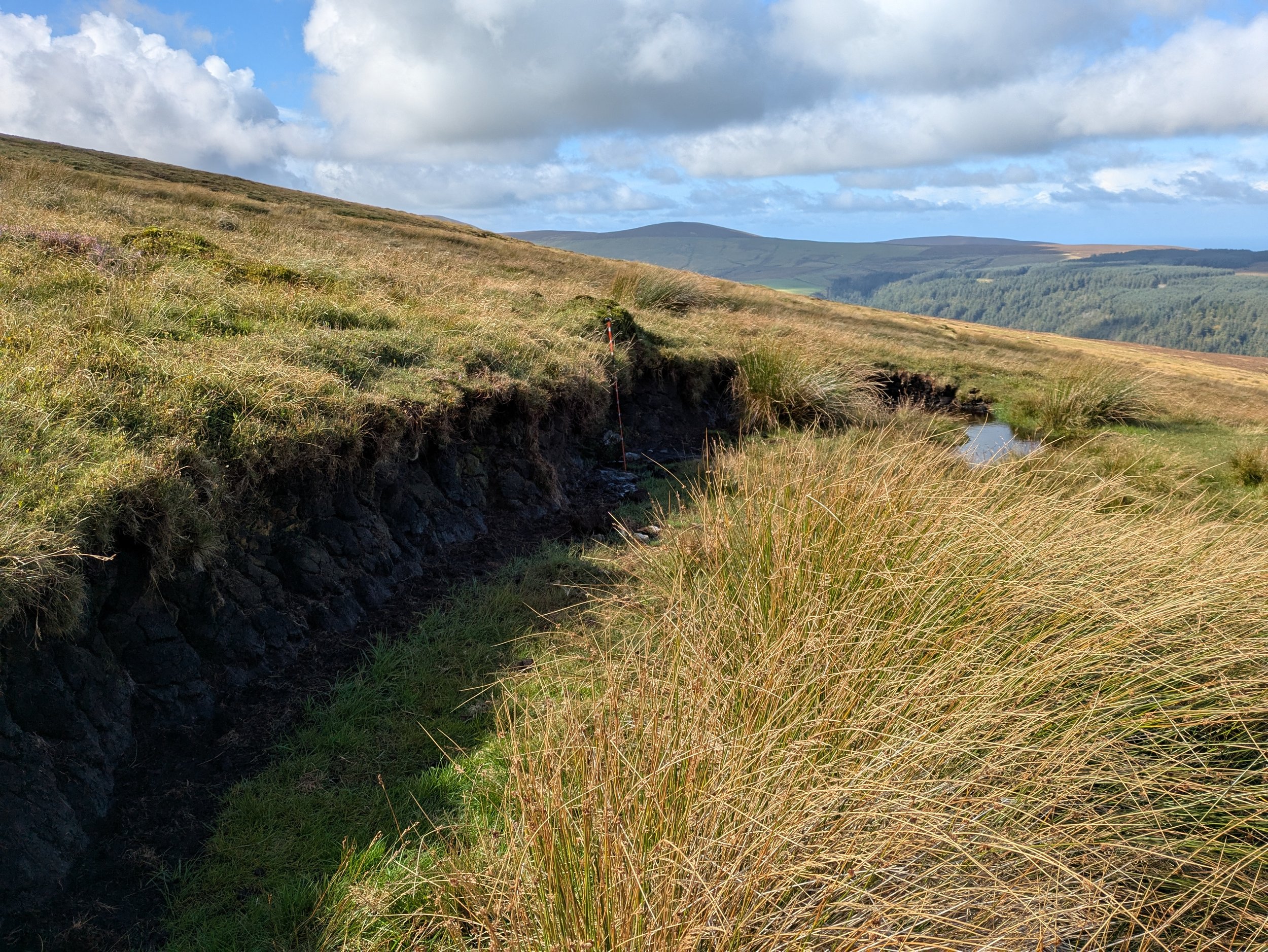Eroding peat hag
