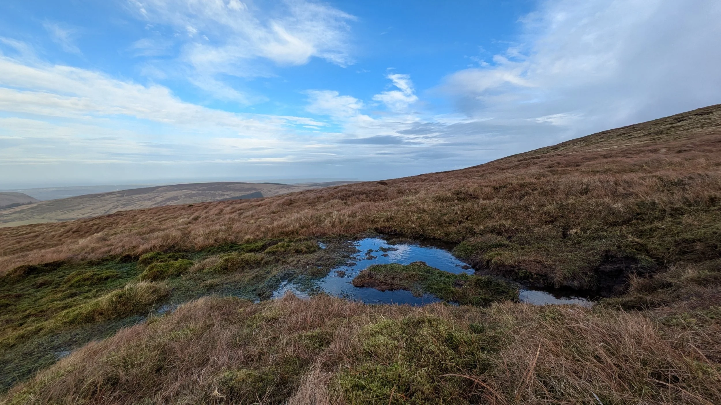 Shallow pool created by the digger