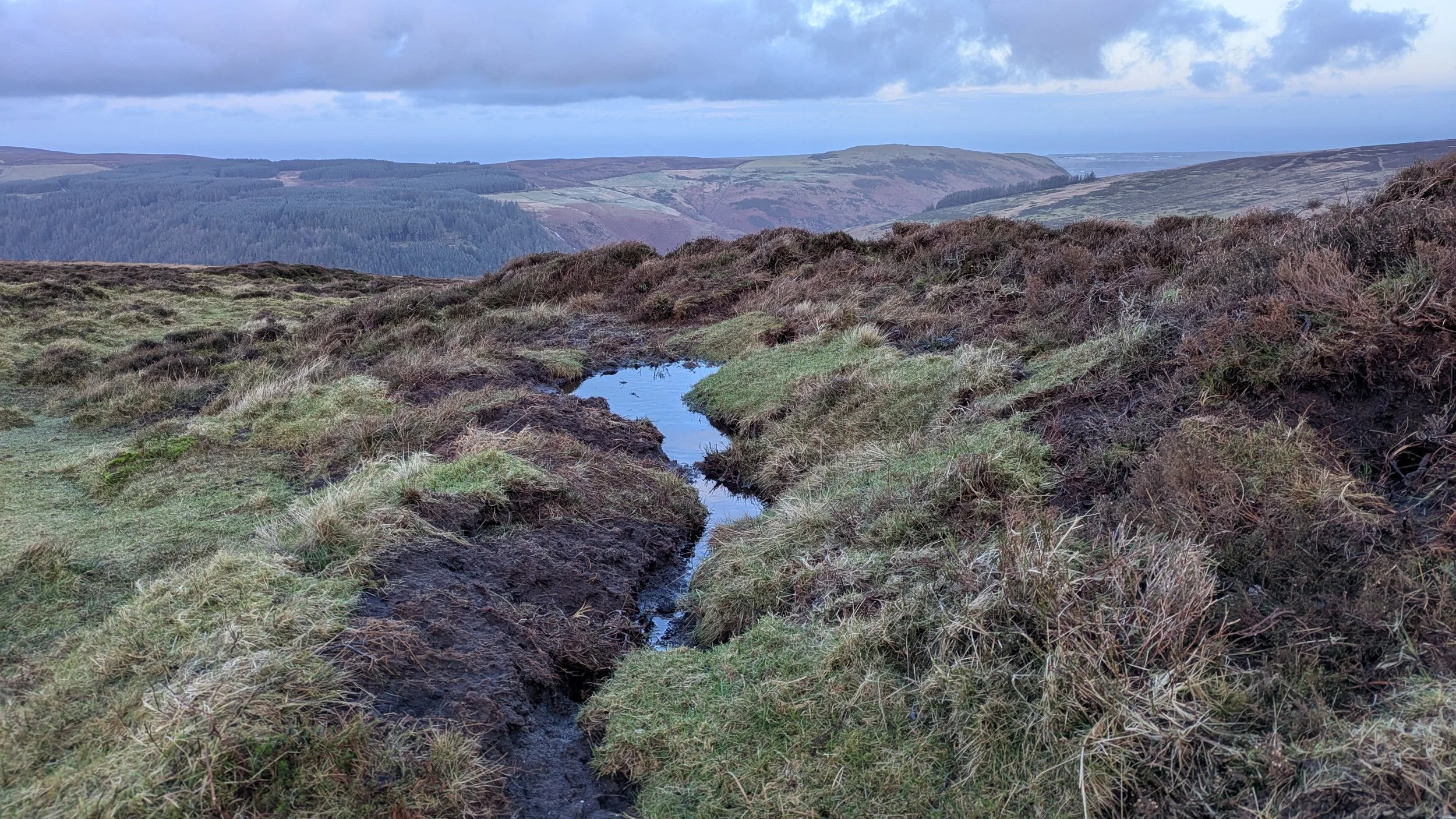 Shallow pool created by the digger