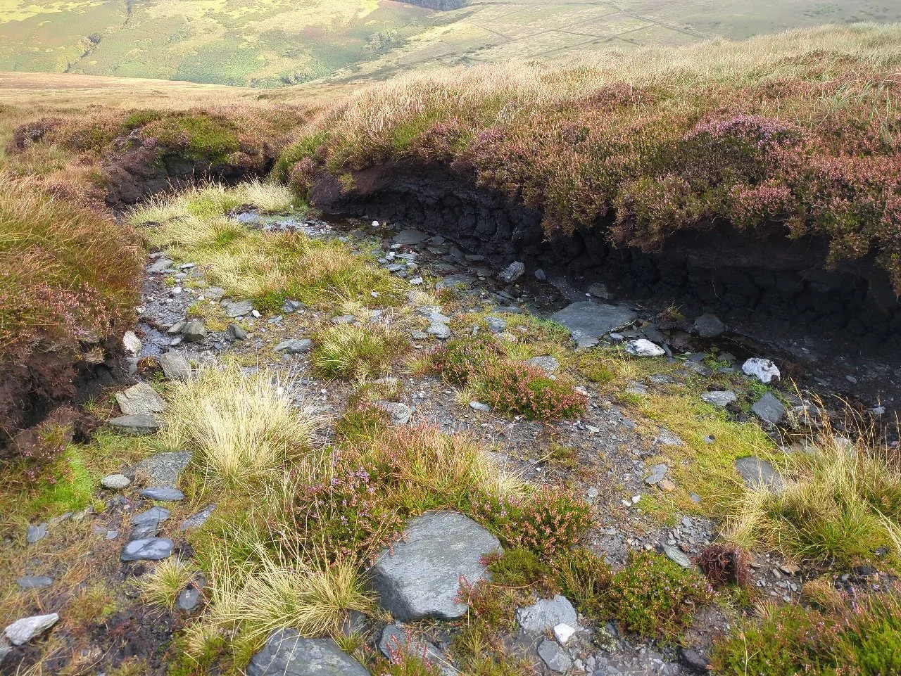 Peat hag eroded down to mineral layer