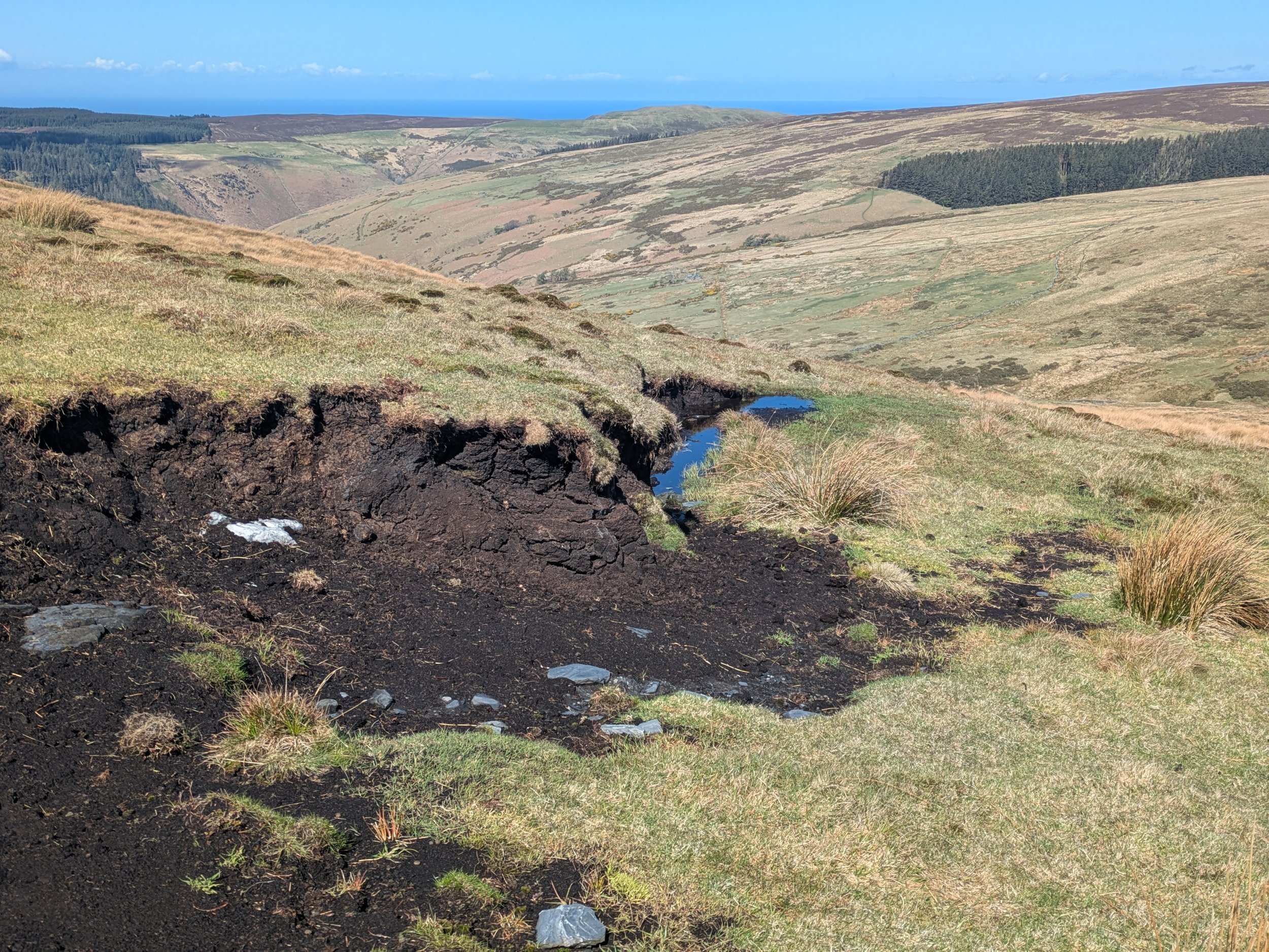 Eroding peat hag