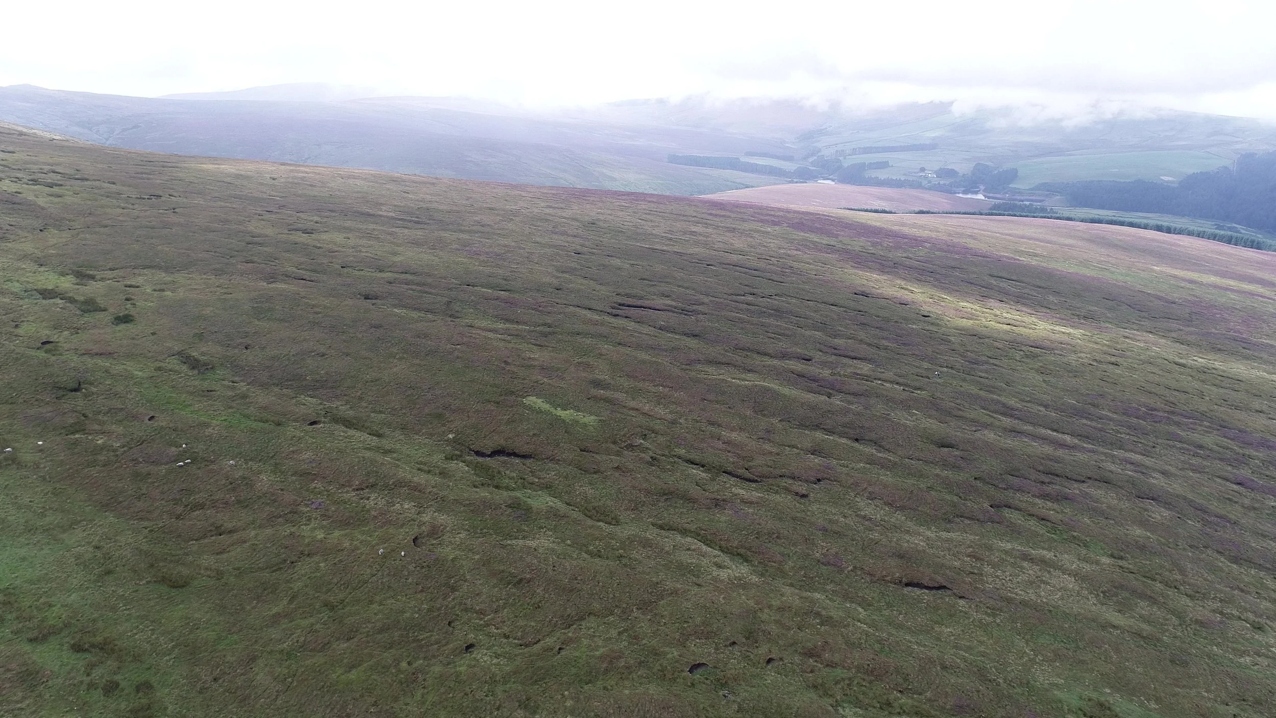 Aerial view of site