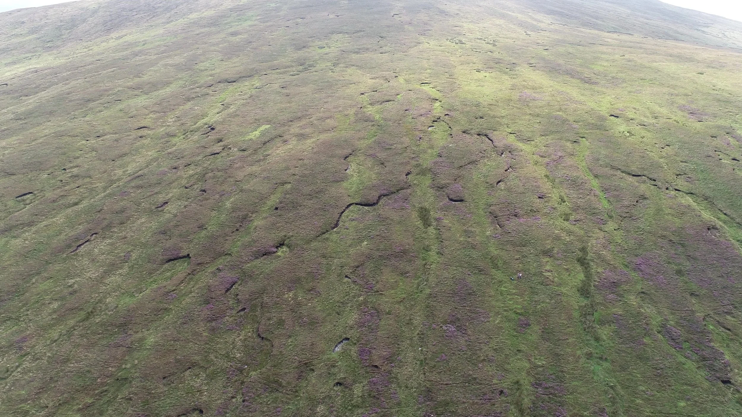 Aerial view of site