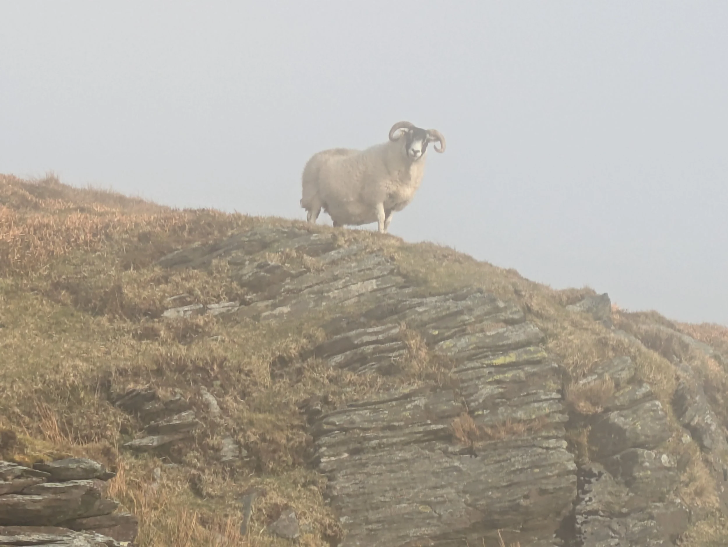 Snaefell