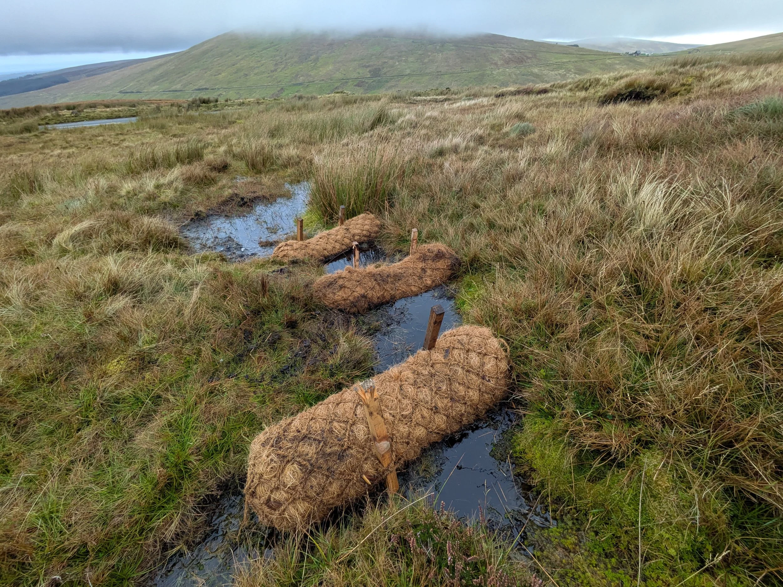 coir dams.jpg