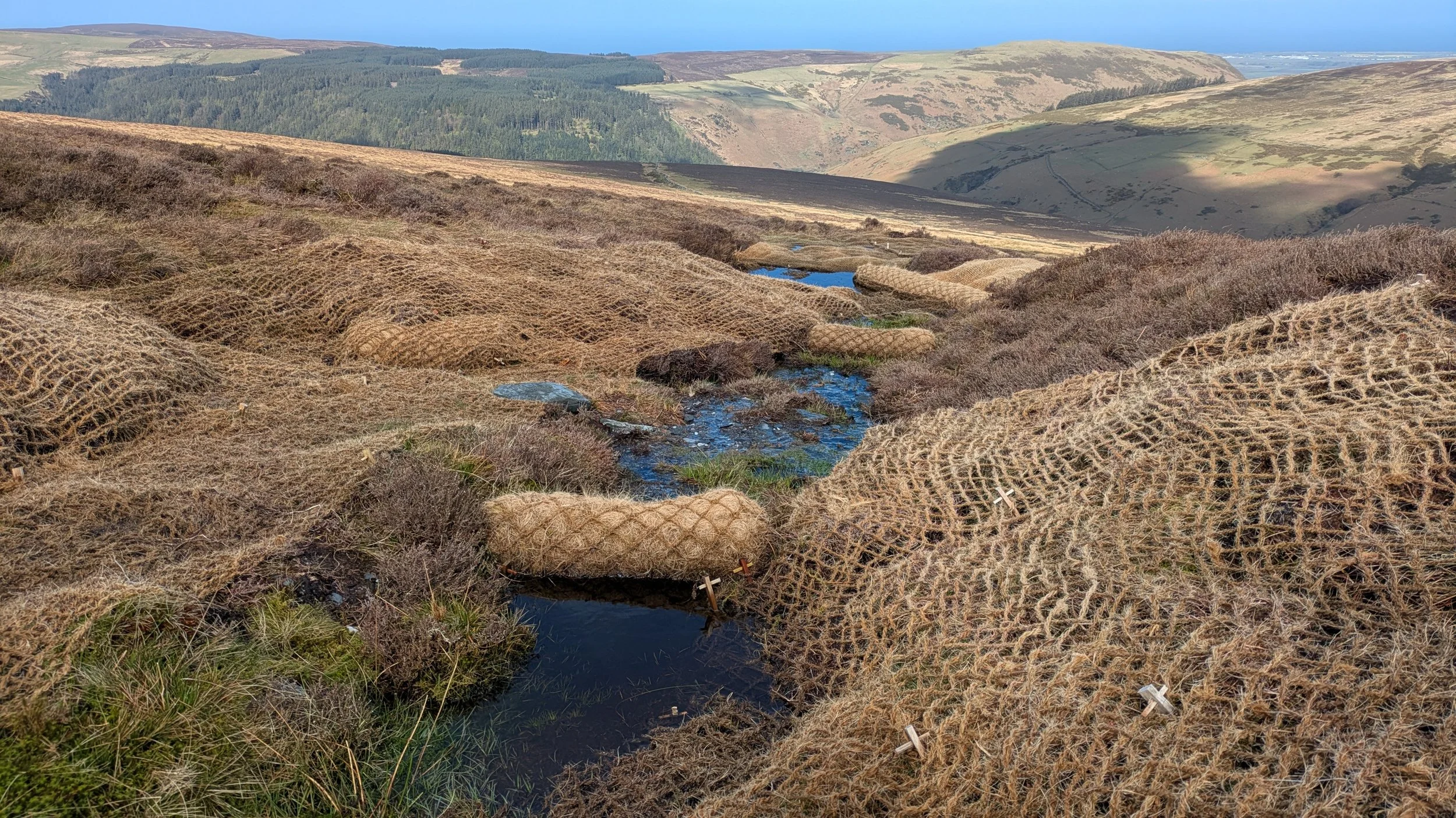 Geotextiles helping to retain water