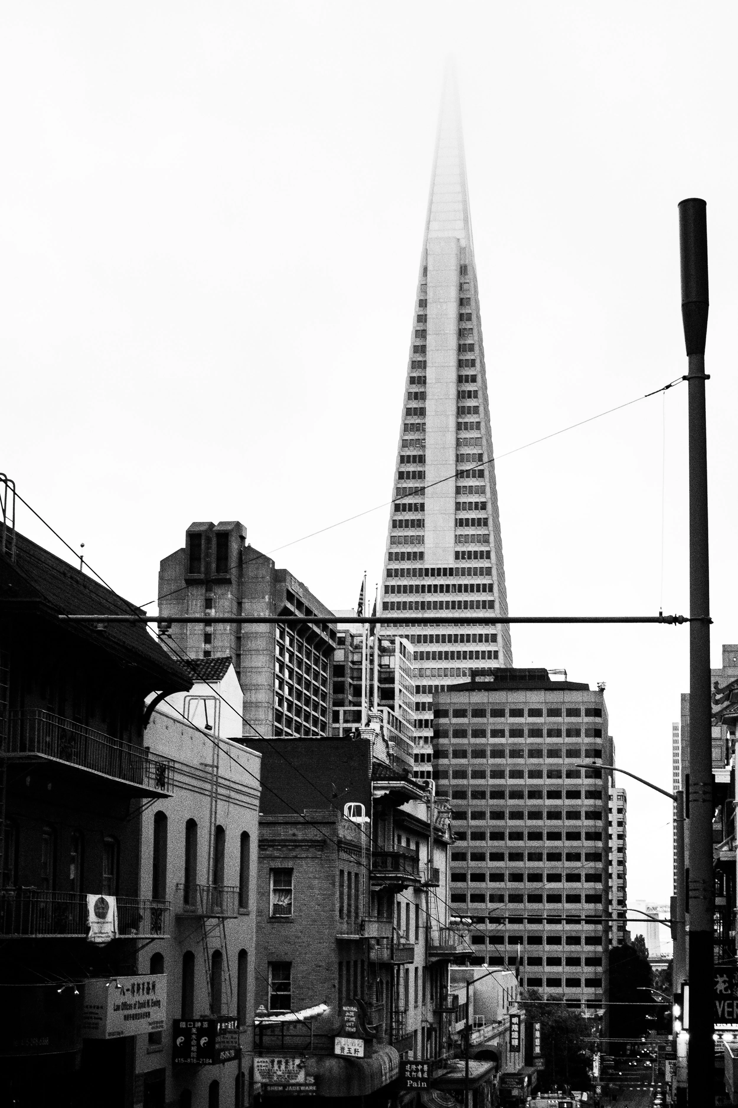 DSCF2791.jpg