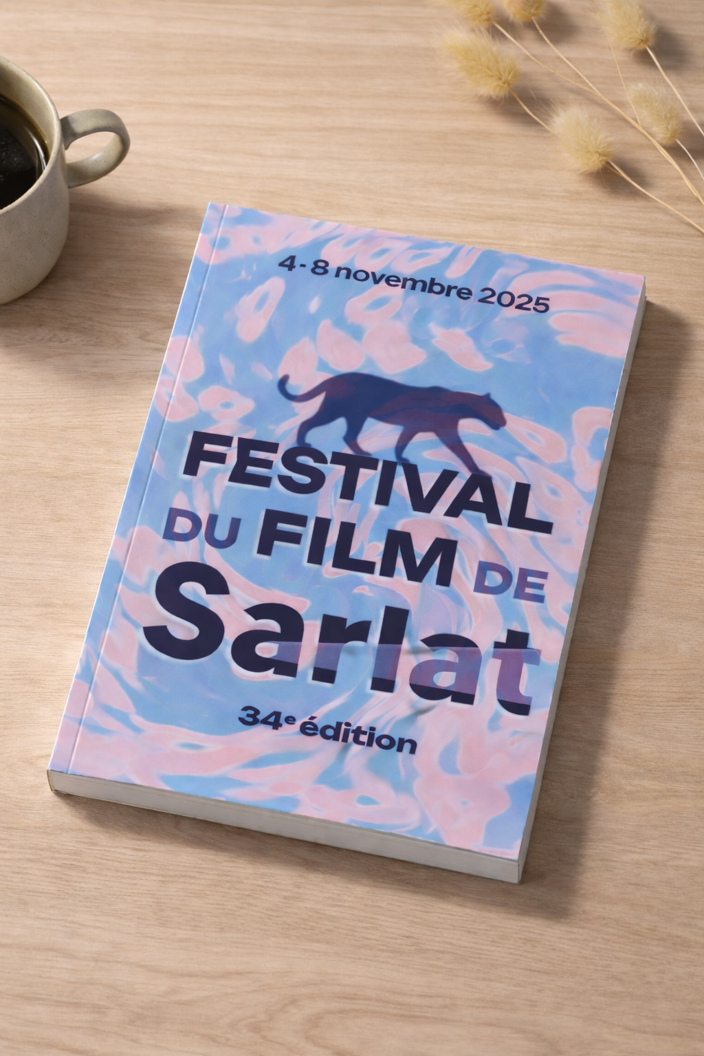 Communication du Festival du film de Sarlat
