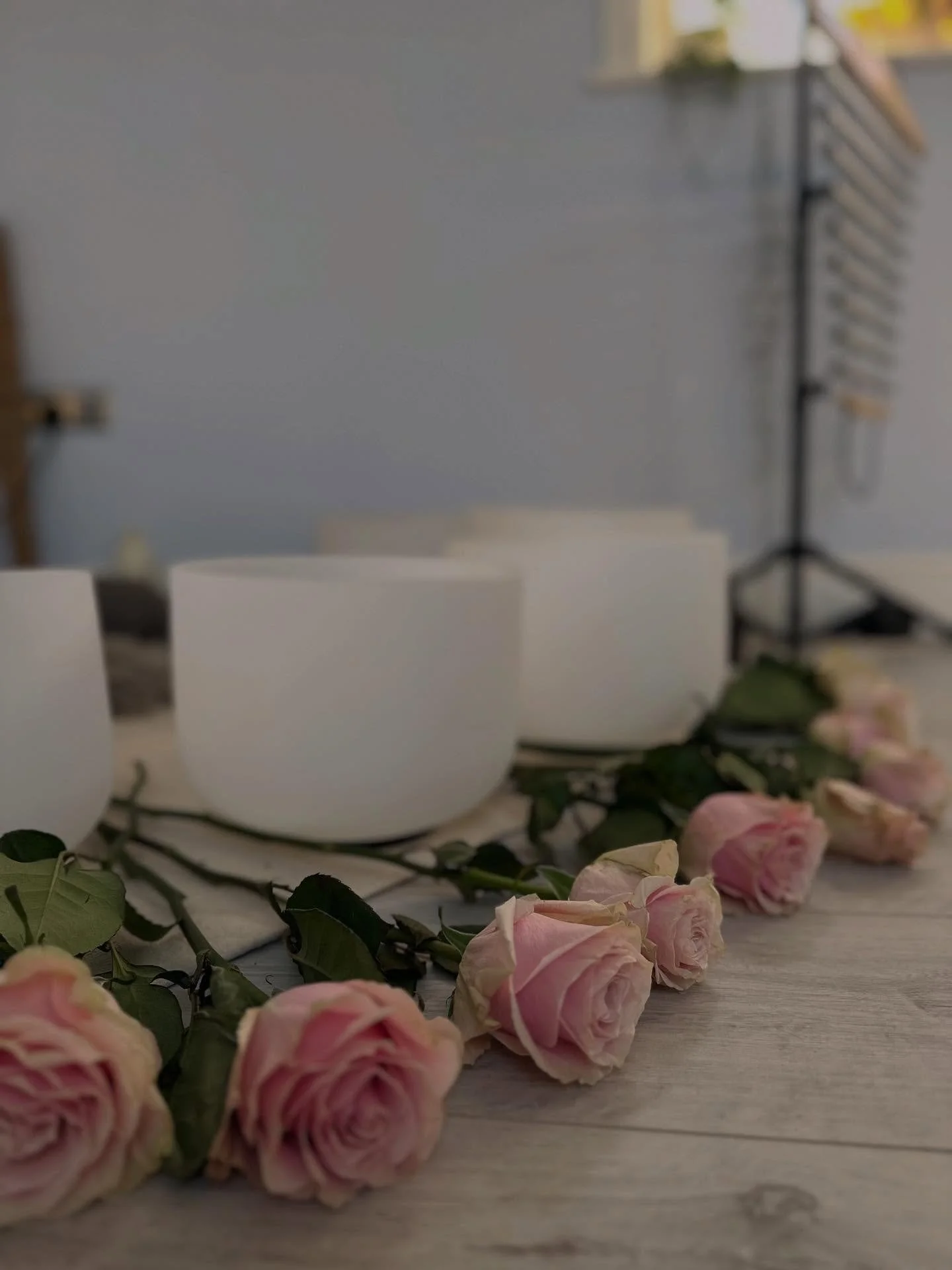 ✨✨ TIME TO BOOK YOUR CLASSES&hellip; AND SOUND HEALING IS BACK! ✨

Yes, we&rsquo;ll still be flowing on bank holiday Monday (as long as there are enough of you keen yogis to roll out your mats 🙌). And the best news? Sound Healing is back this Friday