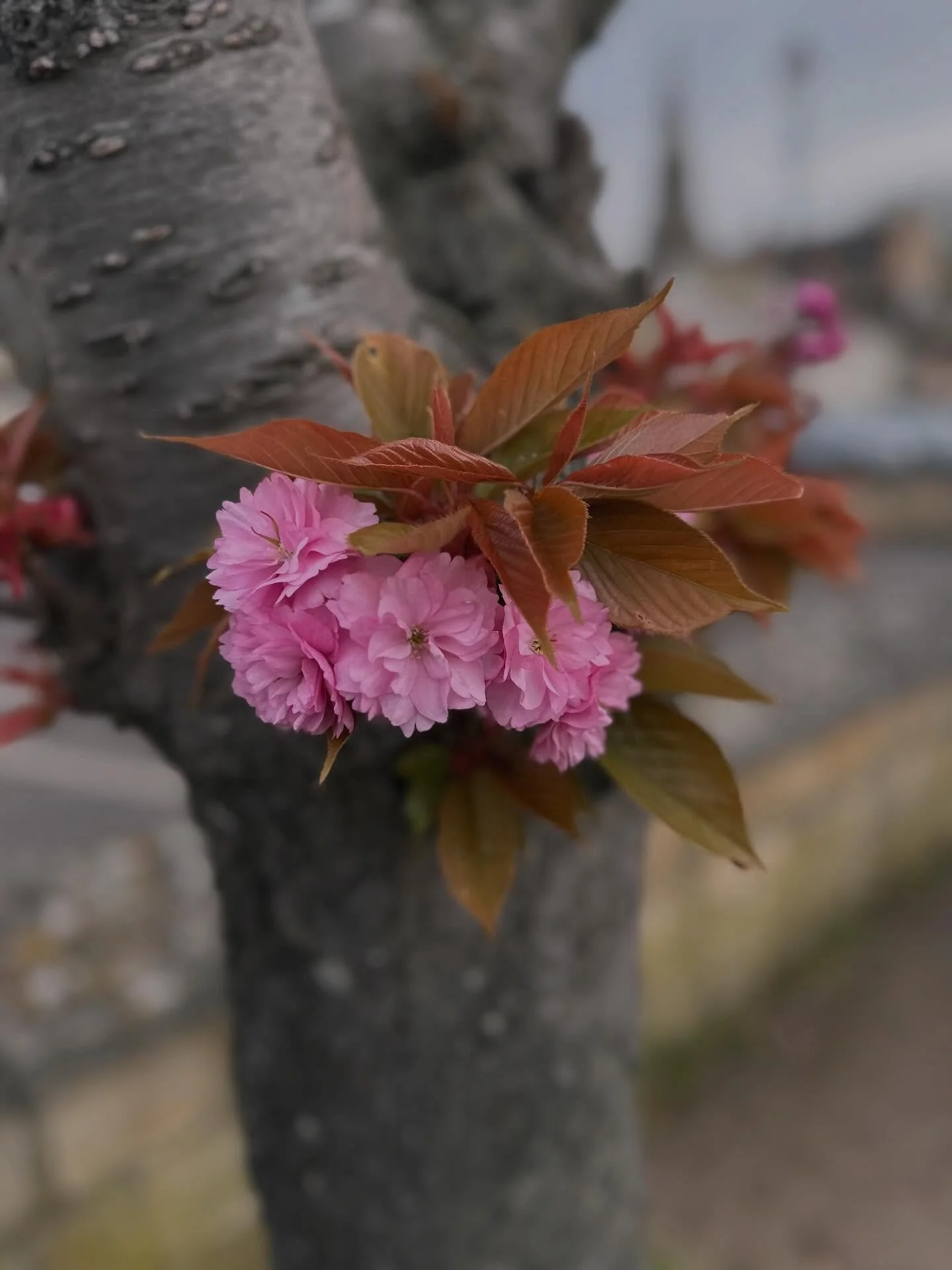 Notice the small moments&hellip; the quiet glimmers ✨
Those little pauses in time where you simply breathe and take in the world around you.

The moments where you land gently in the present
and notice the beauty that&rsquo;s always there, even in th