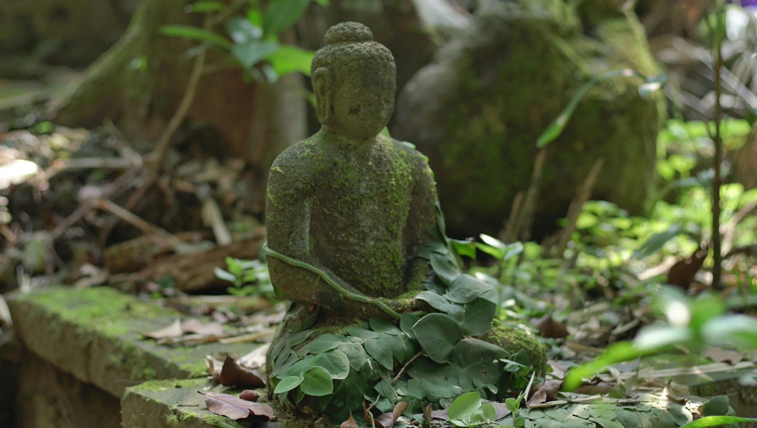 A moss-covered stone statue of a seated Buddha in a forest, surrounded by fallen leaves and green foliage.