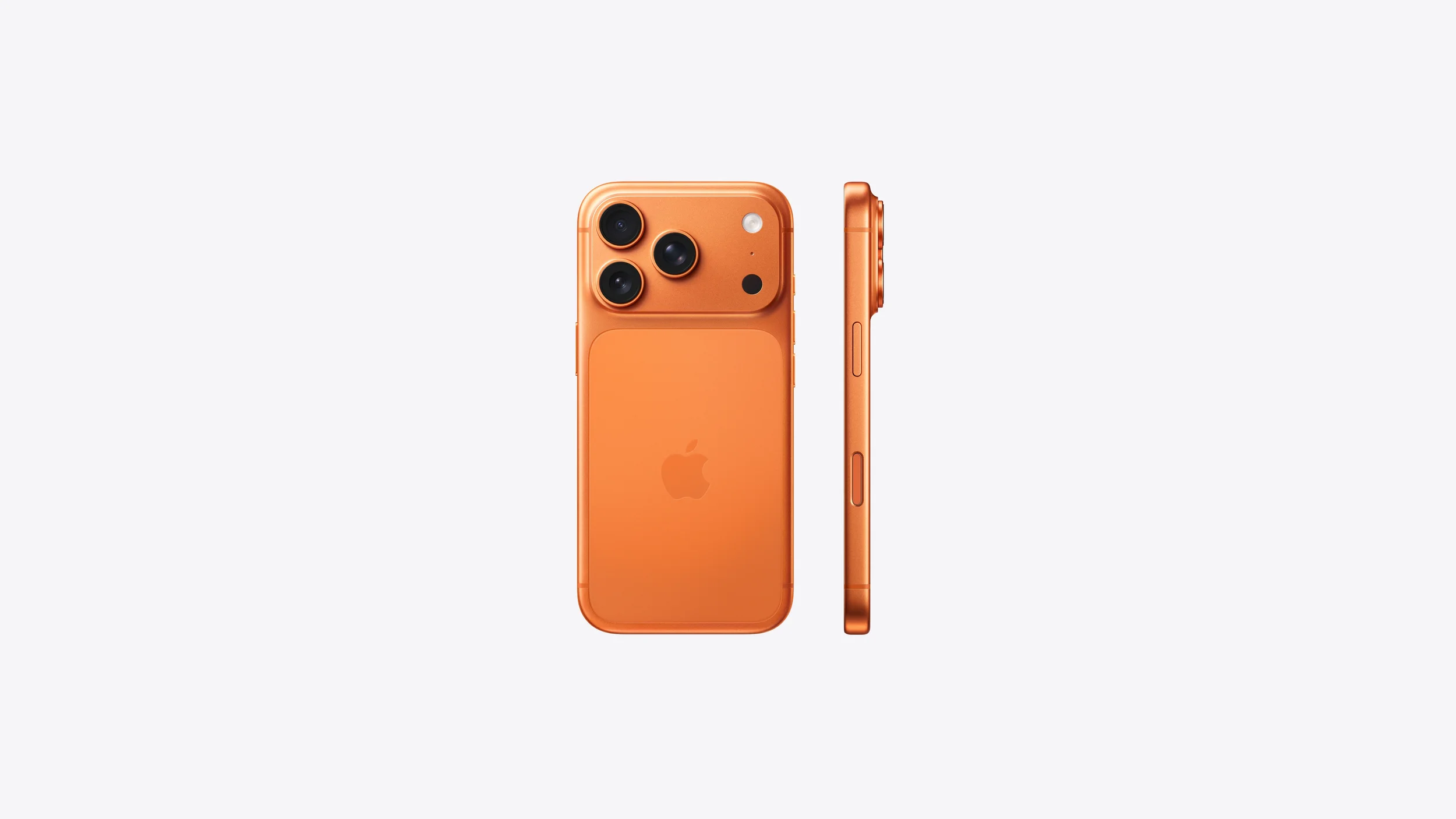 orangep2.webp