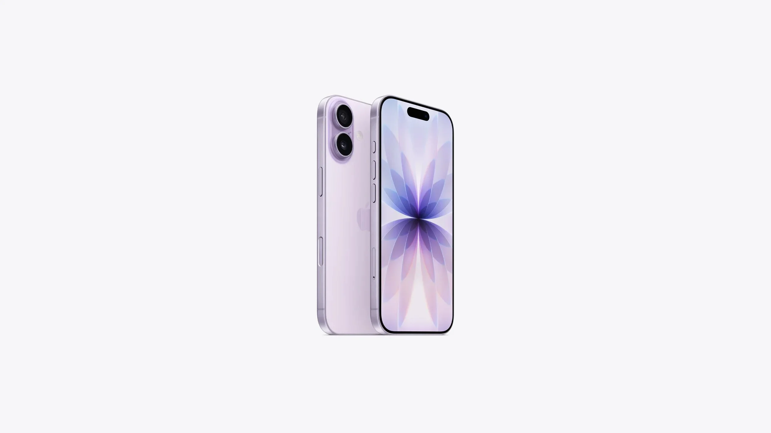 17lavendel.webp