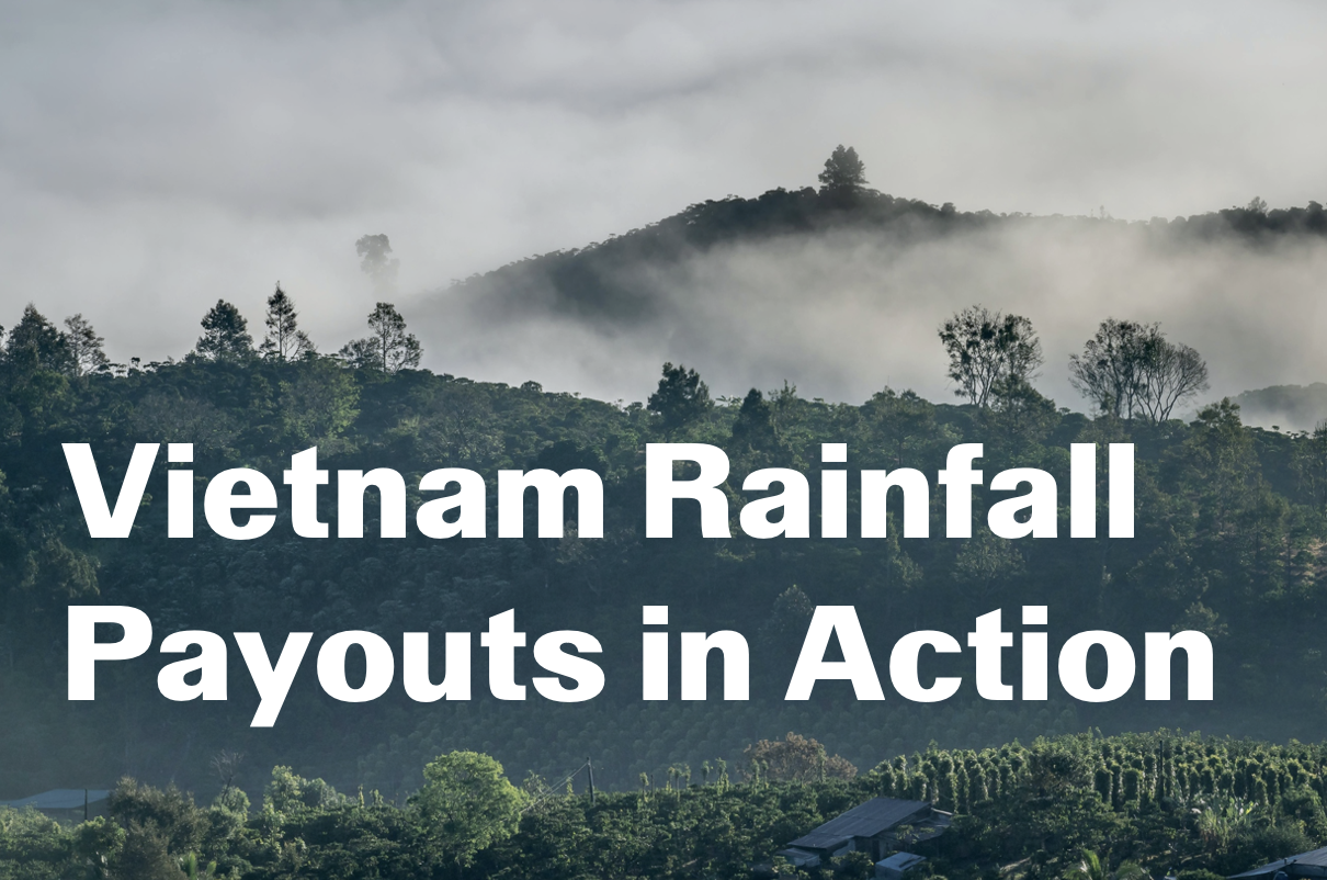 Willis and Global Parametrics deliver first payout to coffee farmers in Vietnam hit by heavy rainfall