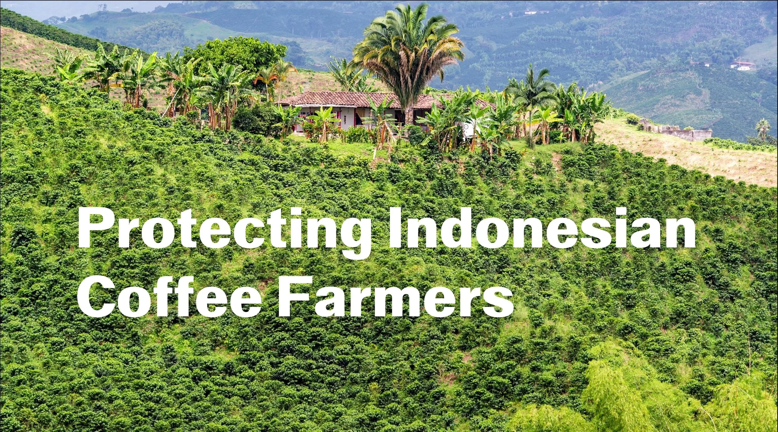 CelsiusPro Group and ECOM partner to provide parametric insurance solutions for Indonesian farmers