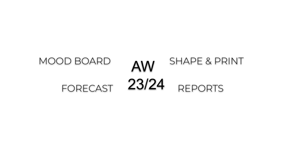 AW 23_24 WOMAN-MOODBOARD&FORECAST REPORT 1.png