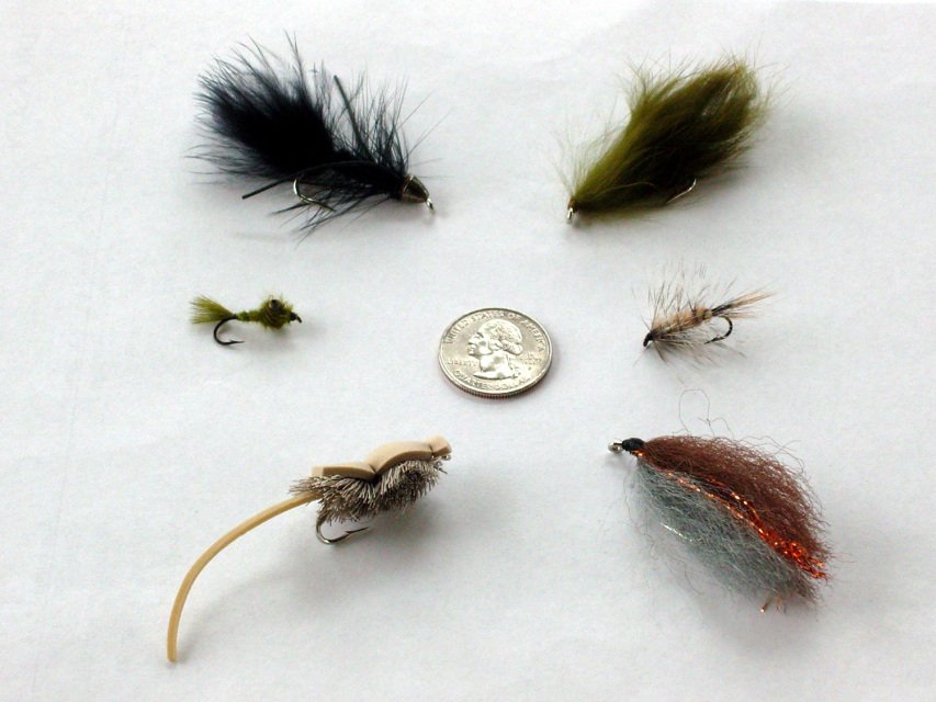 Flies - Bass Pack