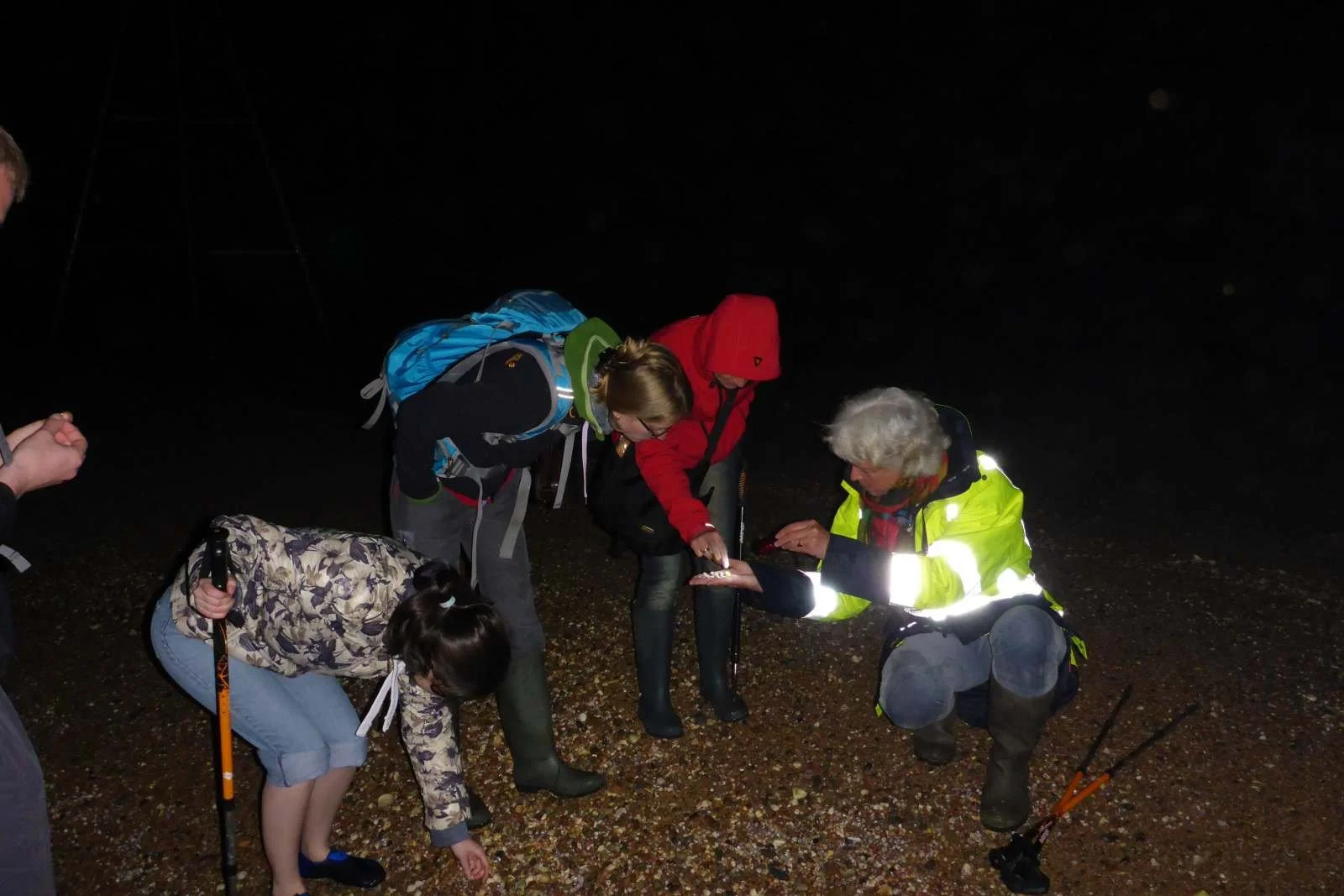 2397424319_bioluminescence-walks.jpg