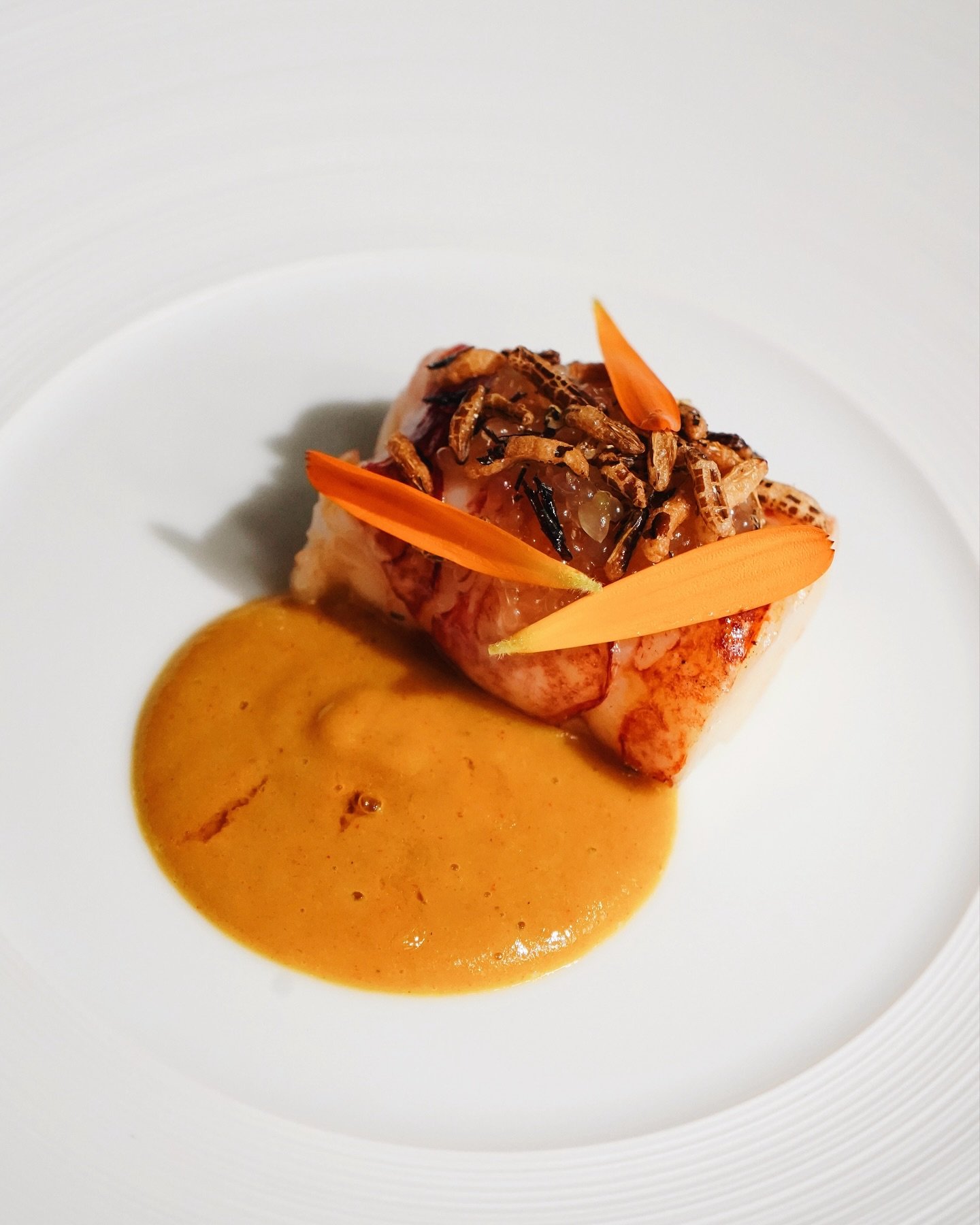 BBQ Jersey Lobster, elevated with ginger, katsu curry &amp; finger lime 🌿🦞

Available on our 4 course menu at Bohemia 💜

#bohemiajersey #theclubjersey #jerseyci #jerseychannelislands #visitjerseyci #michelinguide #aahospitality