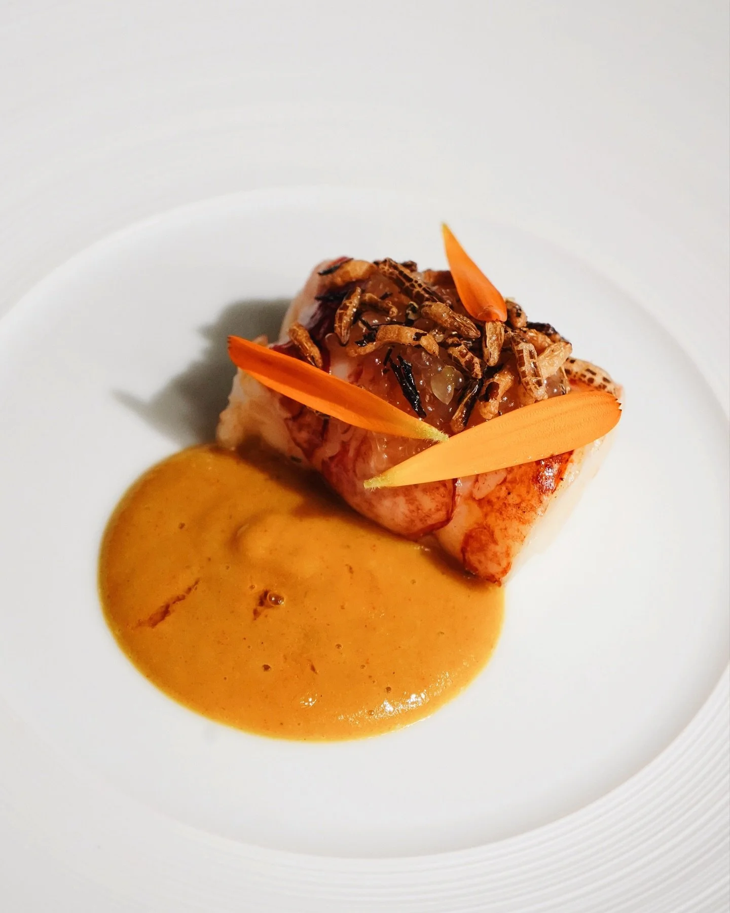 BBQ Jersey Lobster, elevated with ginger, katsu curry &amp; finger lime 🌿🦞

Available on our 4 course menu at Bohemia 💜

#bohemiajersey #theclubjersey #jerseyci #jerseychannelislands #visitjerseyci #michelinguide #aahospitality