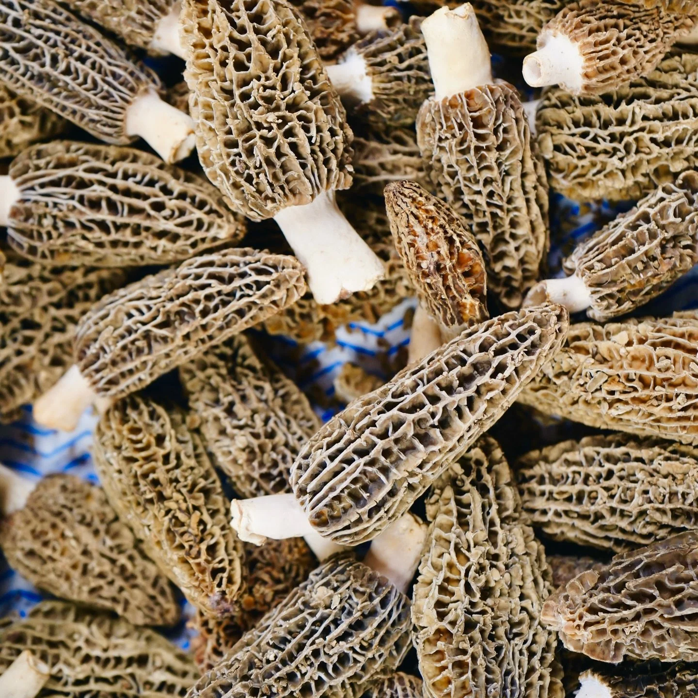 It all starts with the ingredients.

Carefully sourced, thoughtfully selected, and always of the highest quality. Because every great dish deserves a great foundation.

#bohemiajersey #jerseyci #michelinguide #aahospitality