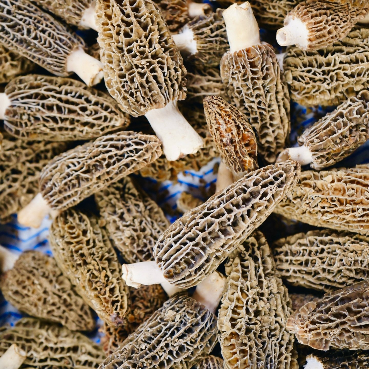 It all starts with the ingredients.

Carefully sourced, thoughtfully selected, and always of the highest quality. Because every great dish deserves a great foundation.

#bohemiajersey #jerseyci #michelinguide #aahospitality